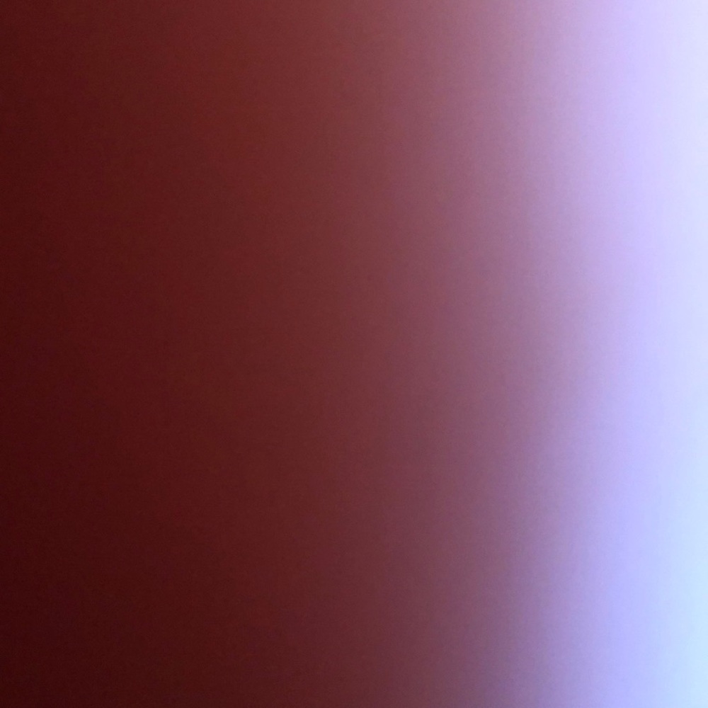 Meet your Posher, Ava